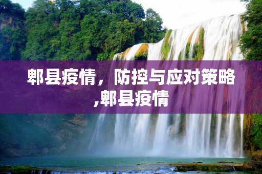 郫县疫情，防控与应对策略,郫县疫情