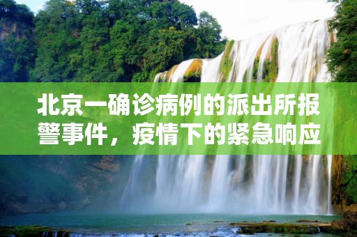 北京一确诊病例的派出所报警事件，疫情下的紧急响应与防控措施,北京一确诊病例曾到派出所报警