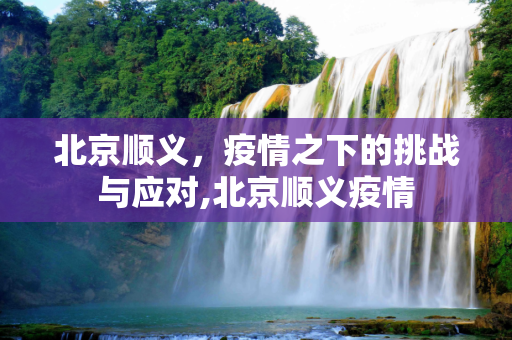 北京顺义，疫情之下的挑战与应对,北京顺义疫情