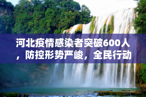 河北疫情感染者突破600人，防控形势严峻，全民行动共克时艰,河北疫情感染者突破600人