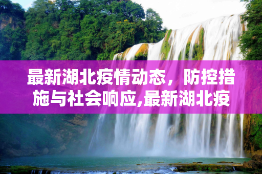 最新湖北疫情动态，防控措施与社会响应,最新湖北疫情
