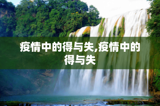 疫情中的得与失,疫情中的得与失