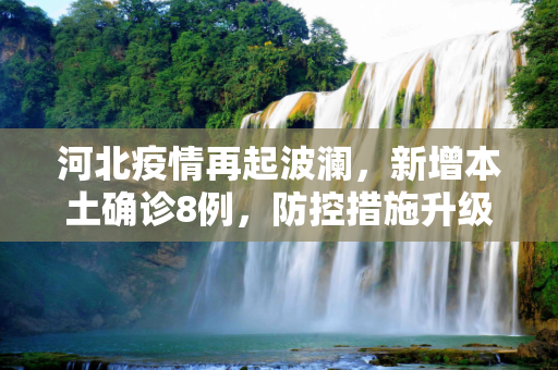 河北疫情再起波澜，新增本土确诊8例，防控措施升级,河北增本土确诊8例