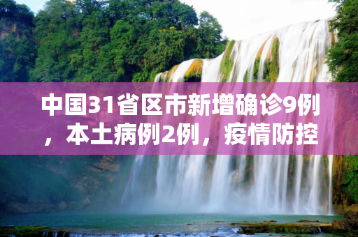 中国31省区市新增确诊9例，本土病例2例，疫情防控形势依然严峻,31省区市新增确诊9例本土2例