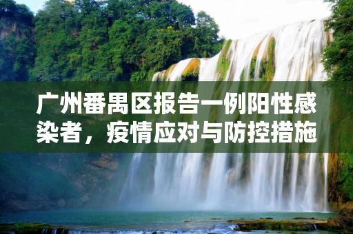 广州番禺区报告一例阳性感染者，疫情应对与防控措施,广州番禺报告一例阳性感染者