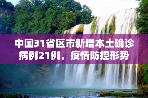 中国31省区市新增本土确诊病例21例，疫情防控形势依然严峻,31省新增本土确诊21例