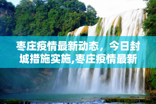 枣庄疫情最新动态，今日封城措施实施,枣庄疫情最新消息今天封城了