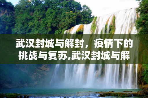 武汉封城与解封，疫情下的挑战与复苏,武汉封城与解封