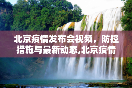 北京疫情发布会视频，防控措施与最新动态,北京疫情发布会视频