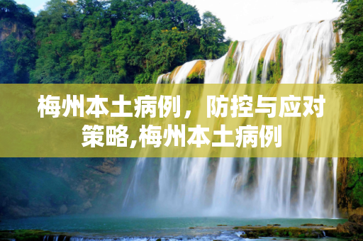 梅州本土病例，防控与应对策略,梅州本土病例