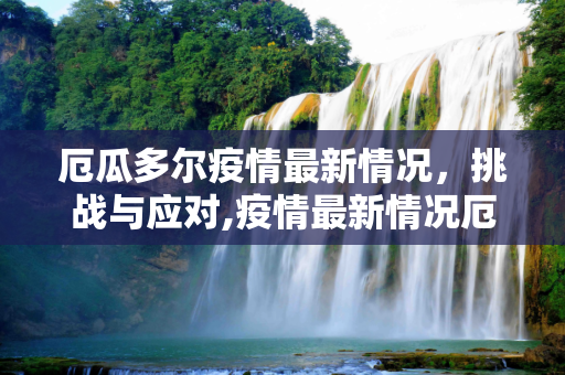厄瓜多尔疫情最新情况，挑战与应对,疫情最新情况厄瓜多尔