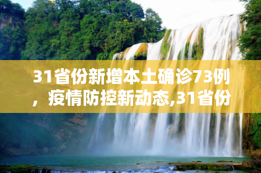 31省份新增本土确诊73例，疫情防控新动态,31省份新增本土确诊73例