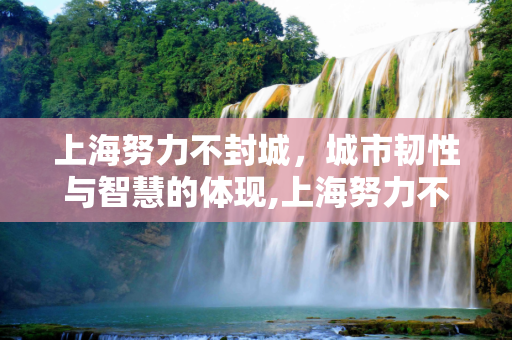 上海努力不封城，城市韧性与智慧的体现,上海努力不封城的简单介绍