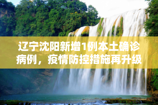 辽宁沈阳新增1例本土确诊病例，疫情防控措施再升级,辽宁沈阳新增1例本土确诊