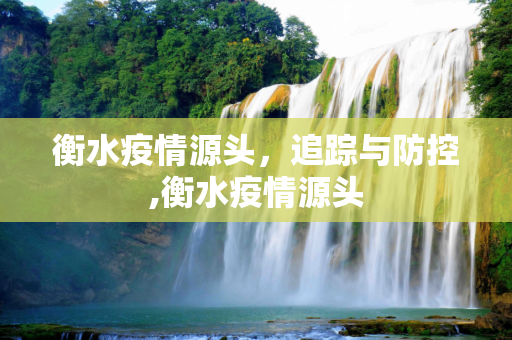 衡水疫情源头，追踪与防控,衡水疫情源头