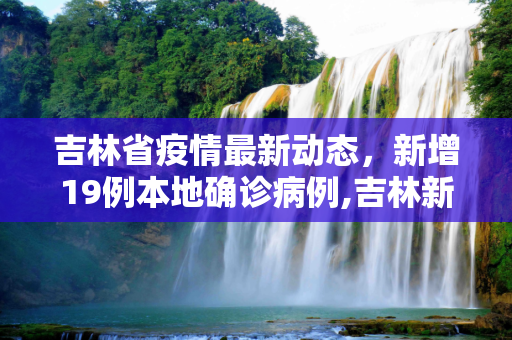 吉林省疫情最新动态，新增19例本地确诊病例,吉林新增19例本地确诊病例