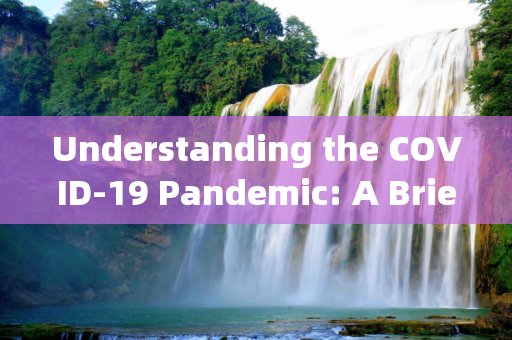 Understanding the COVID-19 Pandemic: A Brief Overview,新冠疫情英文简介