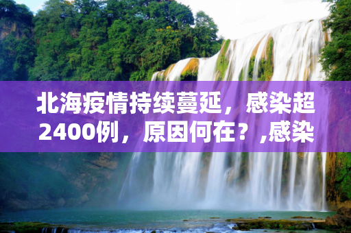 北海疫情持续蔓延，感染超2400例，原因何在？,感染超2400例 北海疫情为何还在持续
