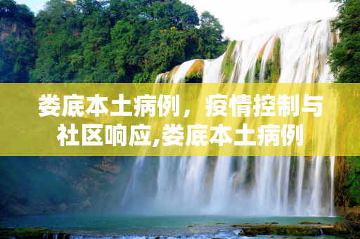 娄底本土病例，疫情控制与社区响应,娄底本土病例