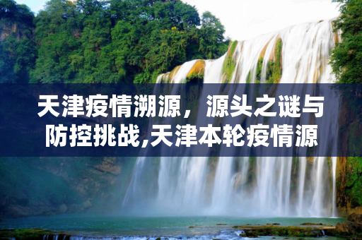 天津疫情溯源，源头之谜与防控挑战,天津本轮疫情源头尚不明确