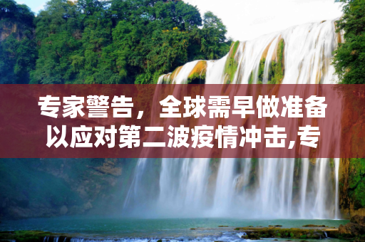 专家警告，全球需早做准备以应对第二波疫情冲击,专家:应早准备应对第二波疫情冲击