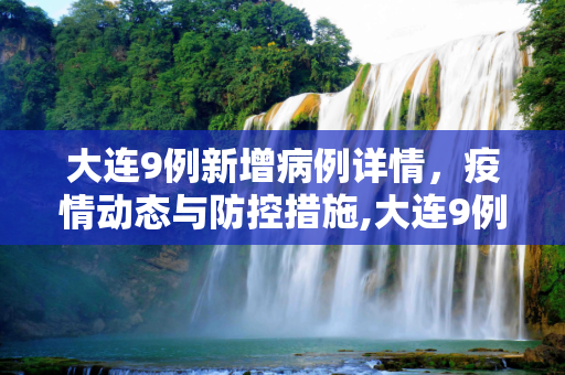 大连9例新增病例详情，疫情动态与防控措施,大连9例新增病例详情
