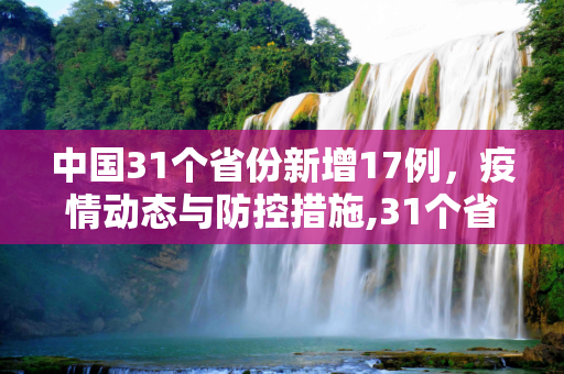 中国31个省份新增17例，疫情动态与防控措施,31个省份新增17例