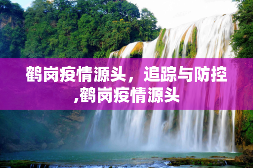 鹤岗疫情源头，追踪与防控,鹤岗疫情源头