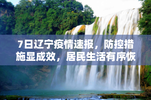 7日辽宁疫情速报，防控措施显成效，居民生活有序恢复,7日辽宁疫情速报