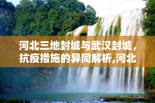 河北三地封城与武汉封城，抗疫措施的异同解析,河北三地封城为何与武汉不同