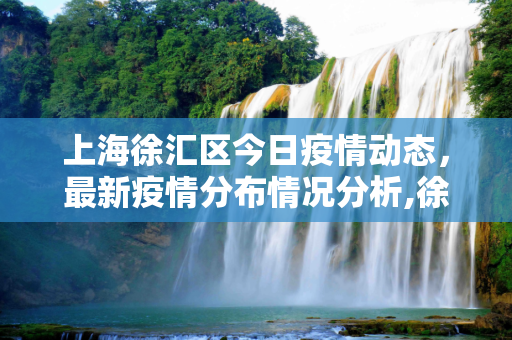 上海徐汇区今日疫情动态，最新疫情分布情况分析,徐汇今天最新疫情:上海徐汇疫情分布