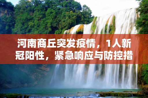 河南商丘突发疫情，1人新冠阳性，紧急响应与防控措施,河南商丘发现1人新冠阳性