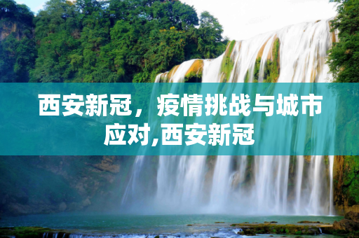 西安新冠，疫情挑战与城市应对,西安新冠