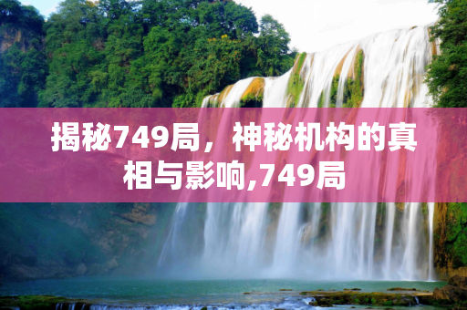 揭秘749局，神秘机构的真相与影响,749局