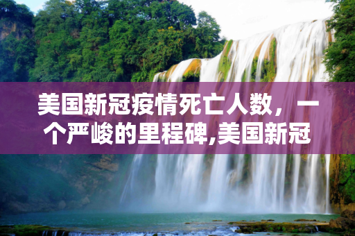 美国新冠疫情死亡人数，一个严峻的里程碑,美国新冠疫情死亡人数