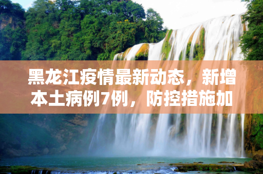 黑龙江疫情最新动态，新增本土病例7例，防控措施加强,黑龙江新增本土7例