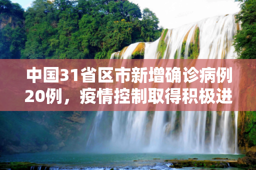 中国31省区市新增确诊病例20例，疫情控制取得积极进展,31省区市新增确诊病例20例