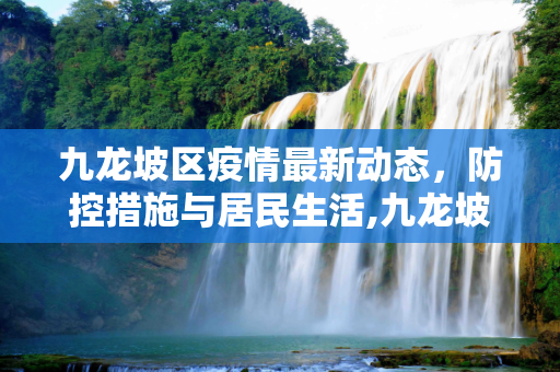 九龙坡区疫情最新动态，防控措施与居民生活,九龙坡疫情最新消息