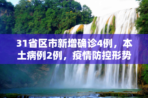 31省区市新增确诊4例，本土病例2例，疫情防控形势依旧严峻,31省区市新增确诊4例 2例为本土