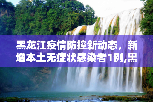 黑龙江疫情防控新动态，新增本土无症状感染者1例,黑龙江新增本土无症状1例