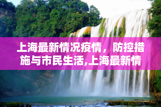 上海最新情况疫情，防控措施与市民生活,上海最新情况疫情