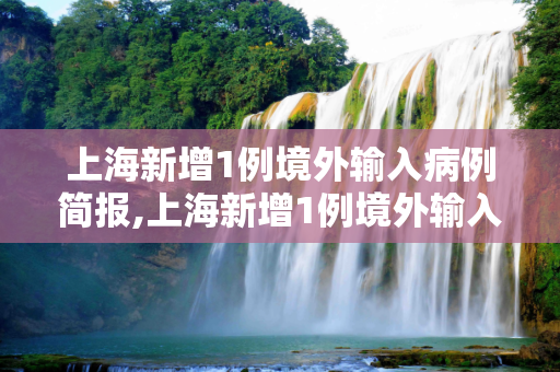 上海新增1例境外输入病例简报,上海新增1例境外输入病例的简单介绍