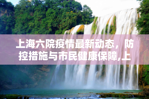 上海六院疫情最新动态，防控措施与市民健康保障,上海六院疫情最新消息