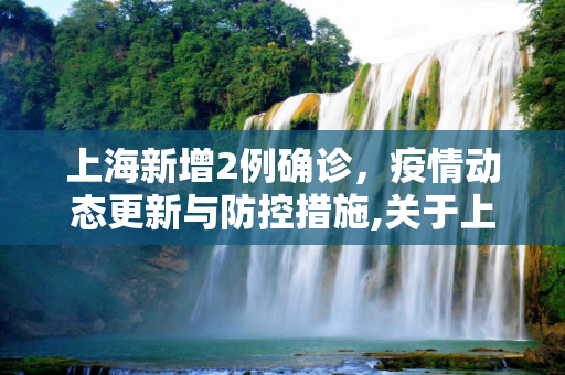 上海新增2例确诊，疫情动态更新与防控措施,关于上海新增2例确诊的信息