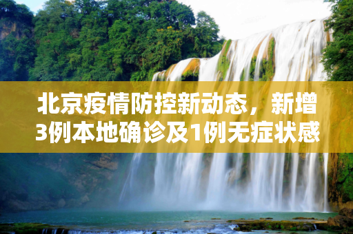 北京疫情防控新动态，新增3例本地确诊及1例无症状感染者,北京新增3例本地确诊1例无症状
