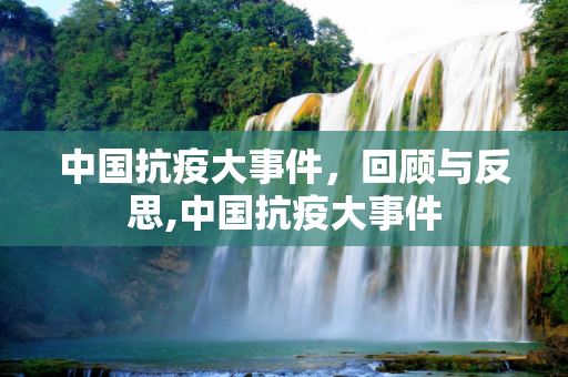 中国抗疫大事件，回顾与反思,中国抗疫大事件