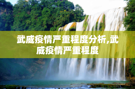 武威疫情严重程度分析,武威疫情严重程度