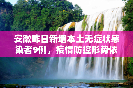 安徽昨日新增本土无症状感染者9例，疫情防控形势依然严峻,安徽昨增本土无症状9例