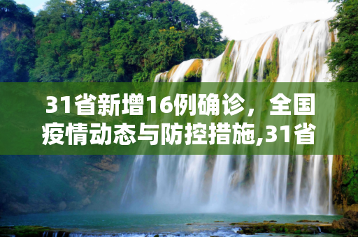 31省新增16例确诊，全国疫情动态与防控措施,31省新增16例确诊