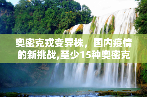 奥密克戎变异株，国内疫情的新挑战,至少15种奥密克戎变异株现身国内